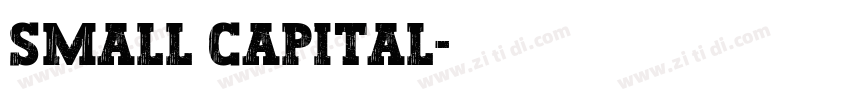 SMALL CAPITAL字体转换